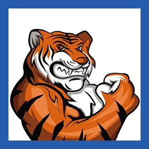 Hostigger夏季促销，最高可享60%折扣！（土耳其、美国、荷兰地区，无限带宽VPS，2GB内存，每年仅需20美元！）