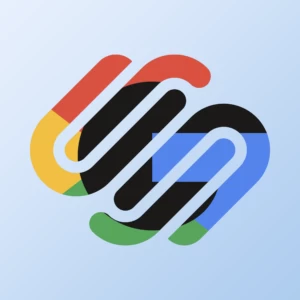 Squarespace 为收购 Google Domains 支付了过高的价格。