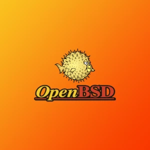 OpenBSD 7.8 发布 - 现在支持多线程 TCP/IP！