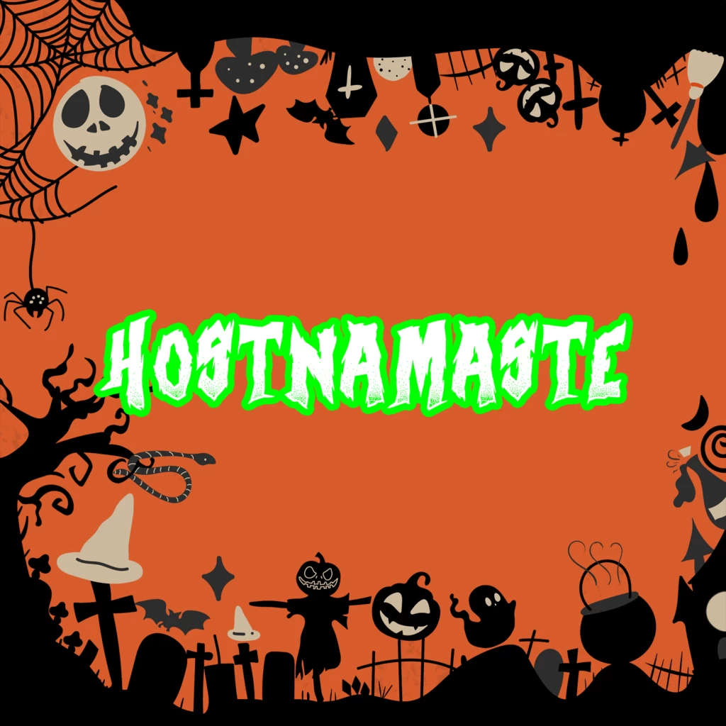 震撼十月周末 晚上7点：HostNamaste 的超值 OpenVZ 和 KVM 优惠！