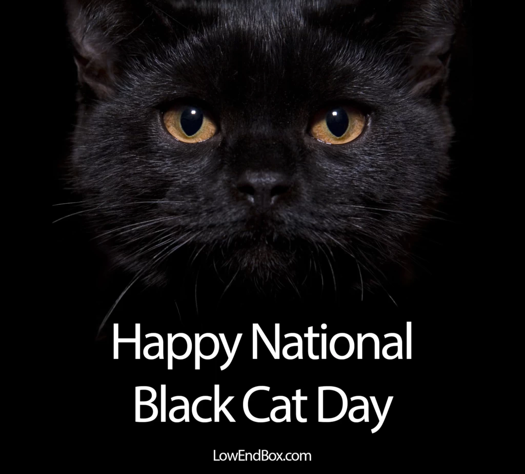 每天欣赏我们的美图，为您的生活增添乐趣！