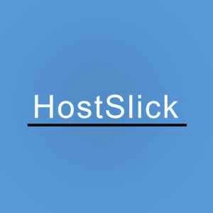 HostSlick.com 推出荷兰专用服务器夏季特惠，价格低至冰点 - 超低价专用服务器，每月仅需 49 欧元起！