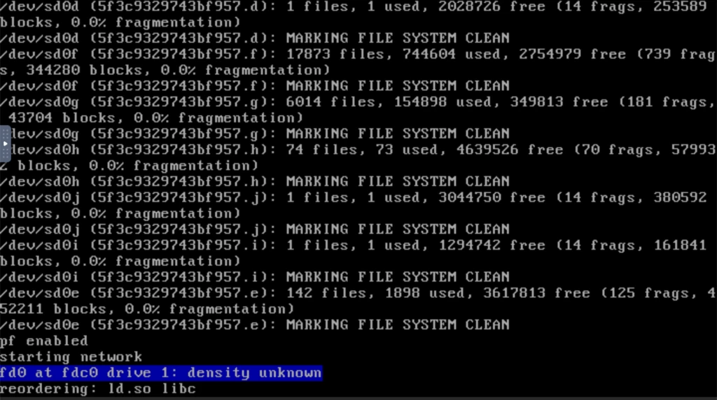 OpenBSD 文件系统未清理
