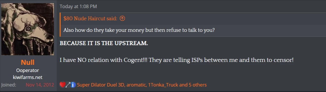 猕猴桃农场上游