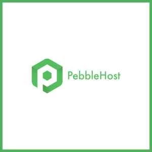 超低价独立服务器，每月仅需 19.99 美元起！快来看看 PebbleHost 的促销活动！
